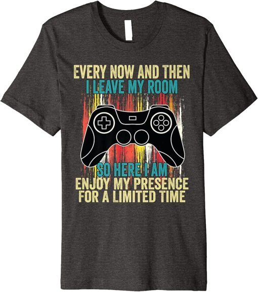 Every Now And Then I Leave My Room Funny Gamer Premium T-Shirt